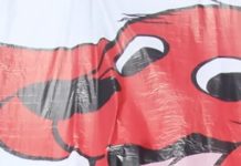 The Succession Drama At The Publishing House Of Harry Potter And Clifford