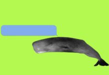 What If The Internet Is Actually A Living Thing?