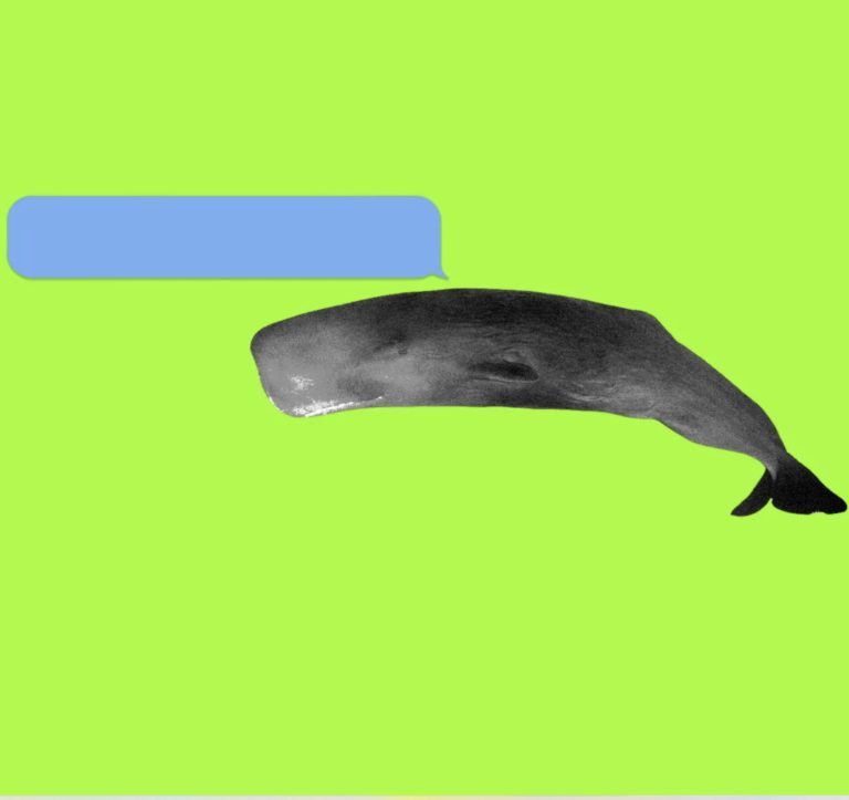 What If The Internet Is Actually A Living Thing?