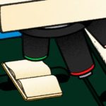 How To Fight Disinformation