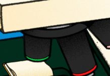 How To Fight Disinformation