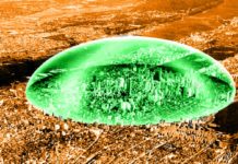 Starchitecture Dreaming: Their Dystopian Dreams Of Conquering Nature