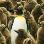 Learning From Outside Your Own Industry (Why It Often Doesn’t Work)