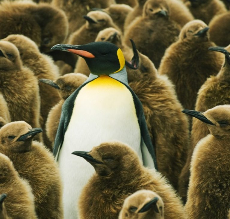 Learning From Outside Your Own Industry (Why It Often Doesn’t Work)
