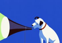 Researchers Are Using AI To Understand Animal Language