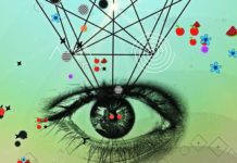 Is Our Ability To Distinguish Geometry What Distinguishes Humans?