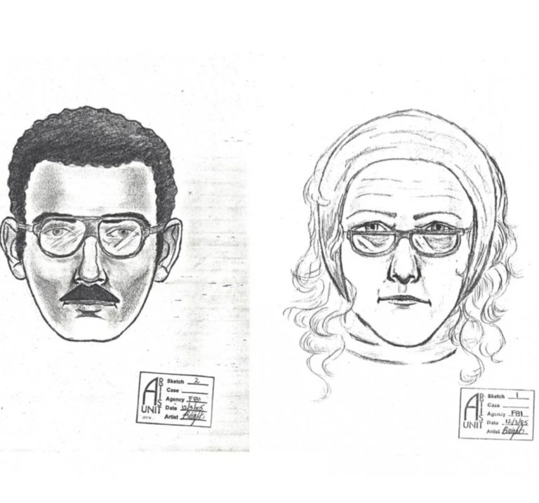 Why Did Two “Civilians” Steal A $160M de Kooning?