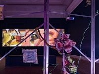 The Tories’ Culture-War Politics Have Britain’s Museums Confused And Worried