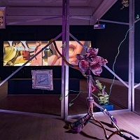 The Tories’ Culture-War Politics Have Britain’s Museums Confused And Worried