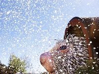 This May Be The World’s Largest Puppet