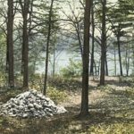 Researchers Use Thoreau To Study Climate Change