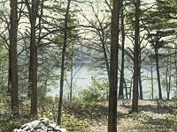 Researchers Use Thoreau To Study Climate Change