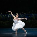 Ballet Companies All Do “Swan Lake”. What Makes One Version Different From Another?