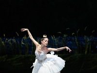 Ballet Companies All Do “Swan Lake”. What Makes One Version Different From Another?