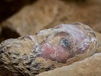 Archaeologists Have Been Making “Extraordinary” Finds Beneath Notre-Dame In Paris