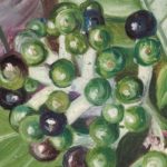 An Illustrator’s Attention To Detail Leads To The Discovery Of A New Species