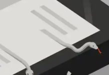 Is There Any Way To Win The Fight Against Disinformation?