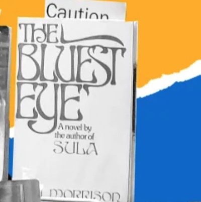 The Librarians Fighting Book Censorship