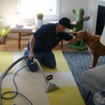 The Carpet Cleaner Who Speaks 24 Languages