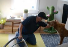 The Carpet Cleaner Who Speaks 24 Languages