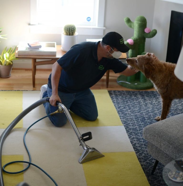The Carpet Cleaner Who Speaks 24 Languages