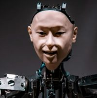 Why Computers Will Never Think Like Us