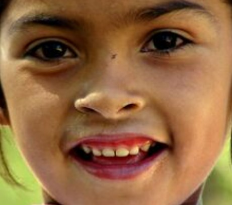 Report: Pre-K School Causes Short-Term Gains, Long-Term Harm