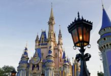 Florida Senate Votes To Strip Disney Of Special District Status