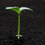 Struggling To Understand (It’s More Difficult Than Ever)