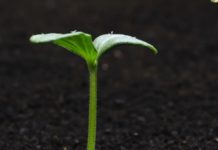 Struggling To Understand (It’s More Difficult Than Ever)