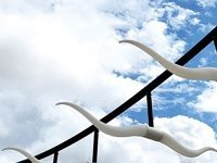 Will Fort Worth End Public Arts Funding Altogether?