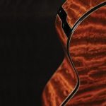 The Legendary Music Tree, From Which Are Made Guitars Like No Others