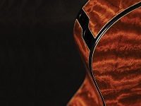 The Legendary Music Tree, From Which Are Made Guitars Like No Others