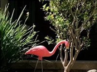 How Hollywood Movies Fed Southern California’s Addiction To Water-Guzzling Green Lawns