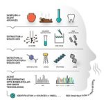 Researching The Smells Of The Ancient World With Modern High Technology