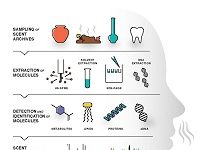 Researching The Smells Of The Ancient World With Modern High Technology