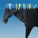 The Art Of, And By, Whimsy