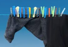 The Art Of, And By, Whimsy