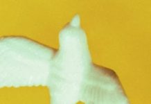 Zelensky And The Art Of Storytelling