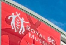 The Royal British Columbia Museum Is About To Be Demolished