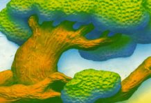 How I Learned To Appreciate The Intelligence Of Trees