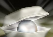 Fascinating: Who’s Rich In America And What They Do