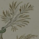 The Morality Of Critics