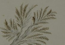 The Morality Of Critics