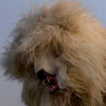 Imagination Is Critical For Learning. So Why Don’t We Teach It?