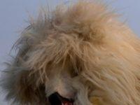 Imagination Is Critical For Learning. So Why Don’t We Teach It?