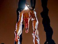 Australia’s Busy Alt-Circus Scene Tries To Bounce Back (Ahem) From The Pandemic