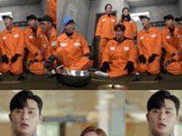 This Streaming Video Service Relies On An Army Of Unpaid, And Extremely Diligent, Subtitlers