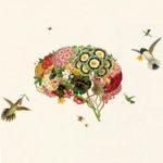 Optimistic Pigs, Tool-Making Birds, Ball-Playing Bees: (Re-)Considering Animal Minds