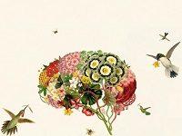 Optimistic Pigs, Tool-Making Birds, Ball-Playing Bees: (Re-)Considering Animal Minds